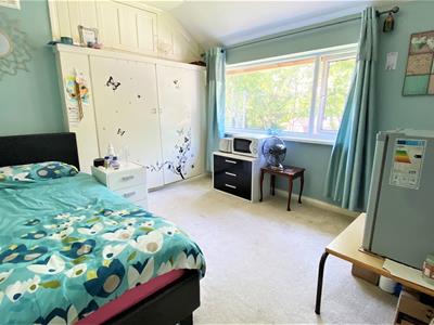 Picture 12